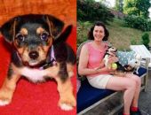 ��������� ������ ��������� � �������� ������ 11 ���