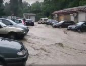 � ���� ������� ����� ������� ������