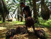 ������ ����� ��������� ������� ���������� �����