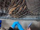 ������������ ������� ����� ��������� �������� �� ������������