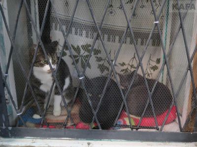 � �������� �� ����� ����� ������ ���������� ����-������� 