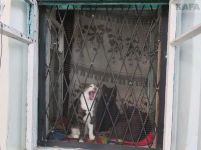 � �������� �� ����� ����� ������ ���������� ����-������� 