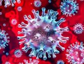 Власти Феодосии обеспокоены ростом числа заболевших коронавирусом