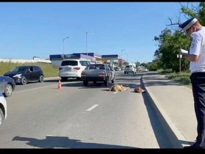 � ����������� ��� �������� ���� �������
