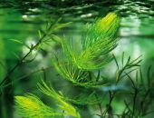 �����������: ��������� �������� � ����� ������