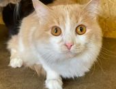 ��������� ������ ������ ������ ���� ����� �� ������� � ������� ��� � ���������