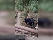 � ����� ������� ���� �� ����� � �����, �� ������ �������