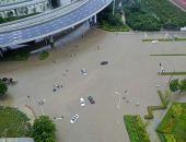 ������ ���������� � �����: ����� �����  ������� �� 13