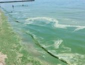 ׸���� ���� ���������� ��-�� �������� ���������� 