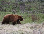 ������� ���� ����������� ������� � �����