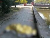 � ����� ������ ������� ���� � ���� � �����������