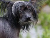 ������� � ������ ��������� �� ���� ������ ����� ������� ������ ������