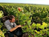 �� ������� 2021 ��� ����� ��������� ��������� �� ������������ ���� � 1945 ����