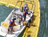 � ������ �������� � ���� 70 ����� ��������� ����