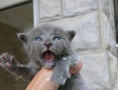 ����������� ��������� � ������� ���������� � ������ ��� ����� �����