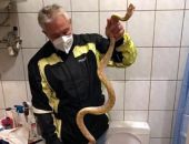 ������� ������� �������� ���� �� ������� � ����� ��� �������� ����