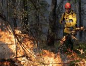 ������ �� ������� �������: ����� ����� 8 ��� �������� �����