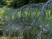 ��� ���� ������ ����������� �� �������� ������� �� ������� ���������