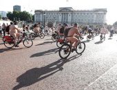 ����� �������������� ���������� �� ������ ������ ������