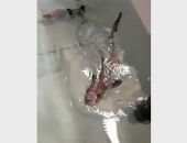 � ����� � �� �����. ����� ������ ���� �� ����