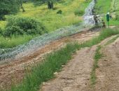 ������ ����� ������� 2,5-�������� ����� �� ������� � ���������