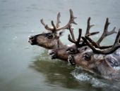  � ������ ������� ��������� ������� �������� ������ ������