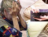 � ���������� ���� ����� ���������, ���������� ����������� �� 600 ���. ������