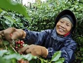 �����������, �������, ������� ��� ��� ����