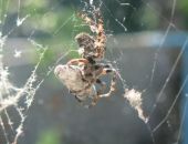 ������ ���������� ������ ��������� � ����� ���� ��������������