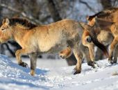 � ������ 11 ����� �������� �������� ������������