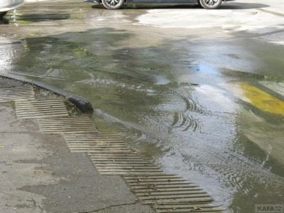 � ������ �������� ����� �������� �����������