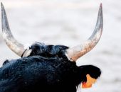 ��� ������������� ��� �������� ������� ������� � ������