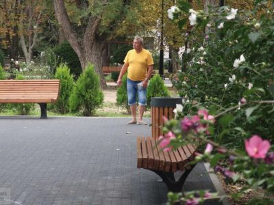 ������ ������������: ��� �� �������� ����