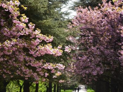 �  ����� ��������� ��������� ������ ��������