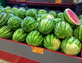 � ����� �������� ����� ���������� ������� ��������� ����� ����� �������������