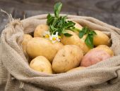 В России снова начал дорожать картофель