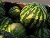 � ���������� ������� ����� ���������� ������� ��������� ����� ��� ���