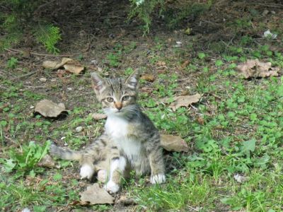 ��������: � �� ���� ���������� 60 ����...