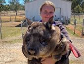 �����, ���� ������: ������������� ������� � ��������� ��������� �������� ���