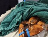 ������� ���������� ����� ������ � ����������� �������� ������