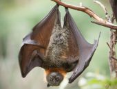 � ������� ����� � ������ ���������� ������������