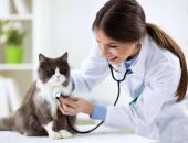 ������� ��������� ���� ��������, ������������� ���� �����