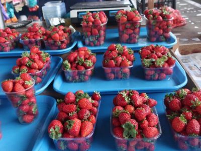 ���� �� ����� ��������: ����� ���������� ����