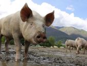 ���������� ���� ����� �������� ��������� ���������� ������ � 2021 ����