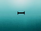 ���� ������ ���������� � ������ � 29 ���� ���������� �� �����