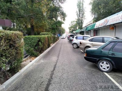 ����� ����� ���. ��������� ���������������