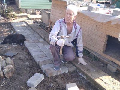 � �������� �������� ������� ������� ����� 