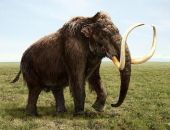 ����������� ������� ��������� ��������, - ����� �� ������� ���