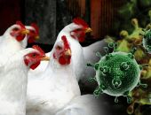 ���������� ���������� ������������ ������� � ����� ��-�� �������� ������