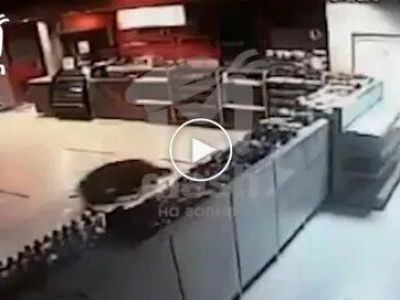 �� ������� ������ ����� ����� �������� �� ������������ ��������